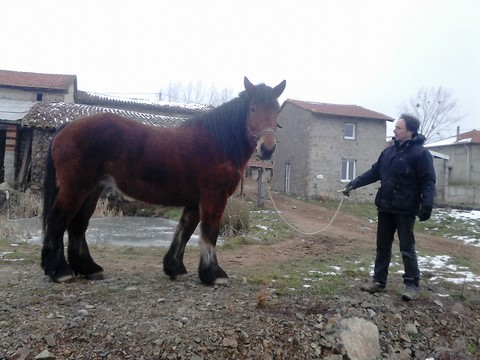 Rikita Ardennaise de 10 ans